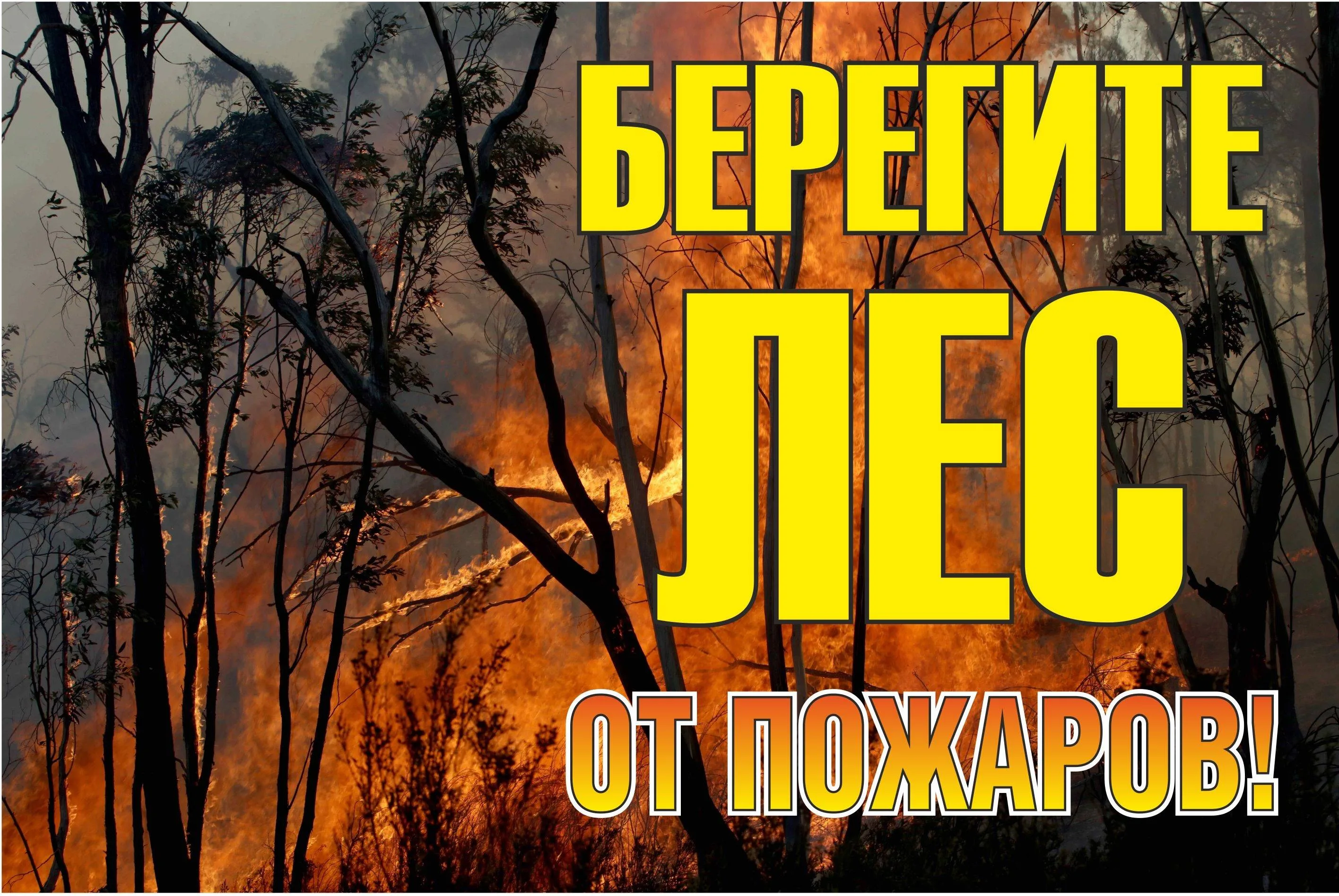 Знак