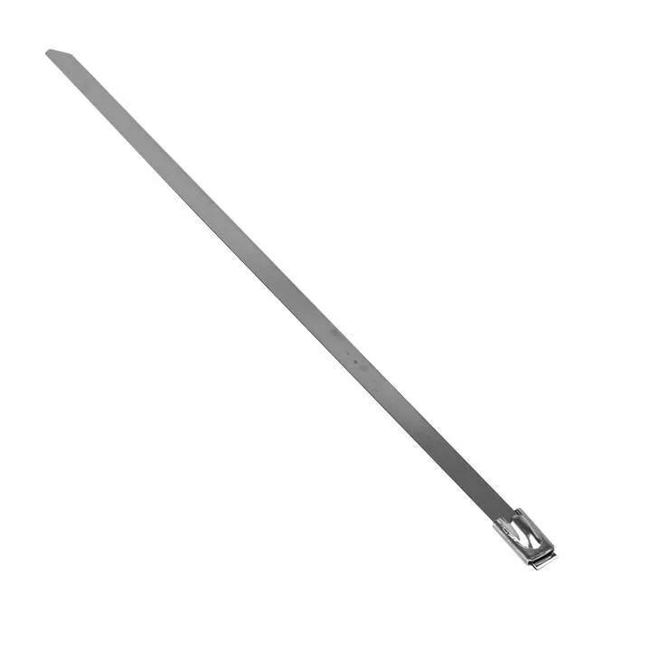 Хомут AISI 304 из нержавеющей стали, 4.6x150 (10 шт.) FlexLock PROxima Хомут AISI 304 из нержавеющей стали, 4.6x150 (10 шт.) FlexLock PROxima