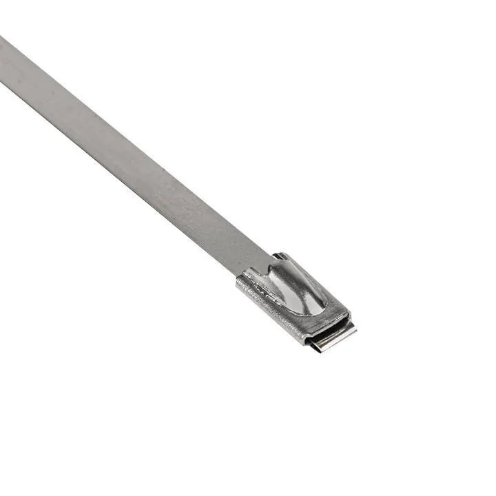 Хомут AISI 304 из нержавеющей стали, 4.6x150 (10 шт.) FlexLock PROxima Хомут AISI 304 из нержавеющей стали, 4.6x150 (10 шт.) FlexLock PROxima