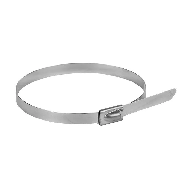 Хомут AISI 304 из нержавеющей стали, 4.6x200 (10 шт.) FlexLock PROxima Хомут AISI 304 из нержавеющей стали, 4.6x200 (10 шт.) FlexLock PROxima