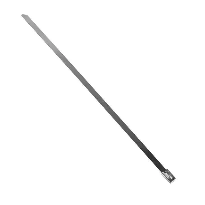Хомут AISI 304 из нержавеющей стали, 4.6x200 (10 шт.) FlexLock PROxima Хомут AISI 304 из нержавеющей стали, 4.6x200 (10 шт.) FlexLock PROxima