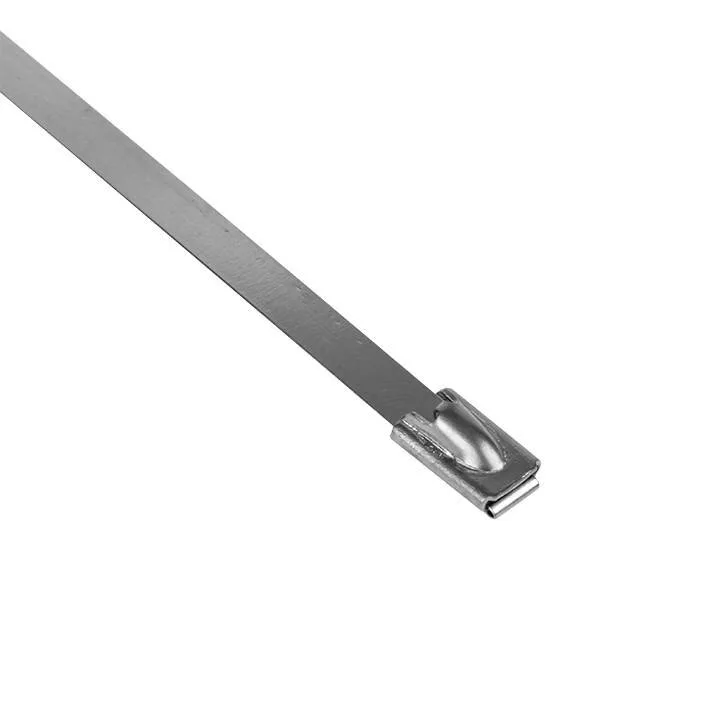 Хомут AISI 304 из нержавеющей стали, 4.6x200 (10 шт.) FlexLock PROxima Хомут AISI 304 из нержавеющей стали, 4.6x200 (10 шт.) FlexLock PROxima