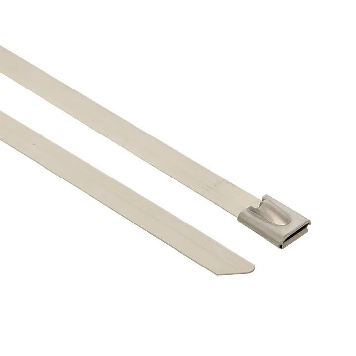 Хомут AISI 304 из нержавеющей стали, 4.6x260 (100 шт.) FlexLock PROxima Хомут AISI 304 из нержавеющей стали, 4.6x260 (100 шт.) FlexLock PROxima