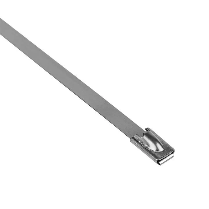 Хомут AISI 304 из нержавеющей стали, 4.6x290 (10 шт.) FlexLock PROxima Хомут AISI 304 из нержавеющей стали, 4.6x290 (10 шт.) FlexLock PROxima
