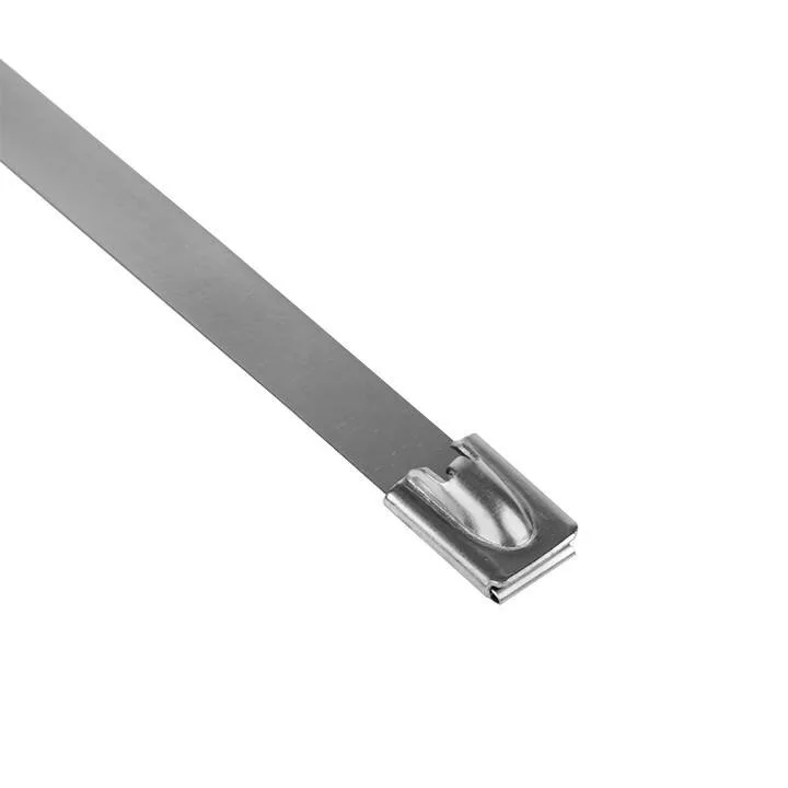 Хомут AISI 304 из нержавеющей стали, 7.9x200 (10 шт.) FlexLock PROxima Хомут AISI 304 из нержавеющей стали, 7.9x200 (10 шт.) FlexLock PROxima