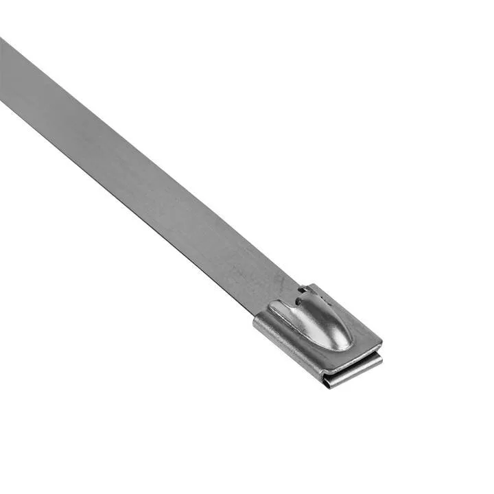 Хомут AISI 304 из нержавеющей стали, 7.9x290 (10 шт.) FlexLock PROxima Хомут AISI 304 из нержавеющей стали, 7.9x290 (10 шт.) FlexLock PROxima