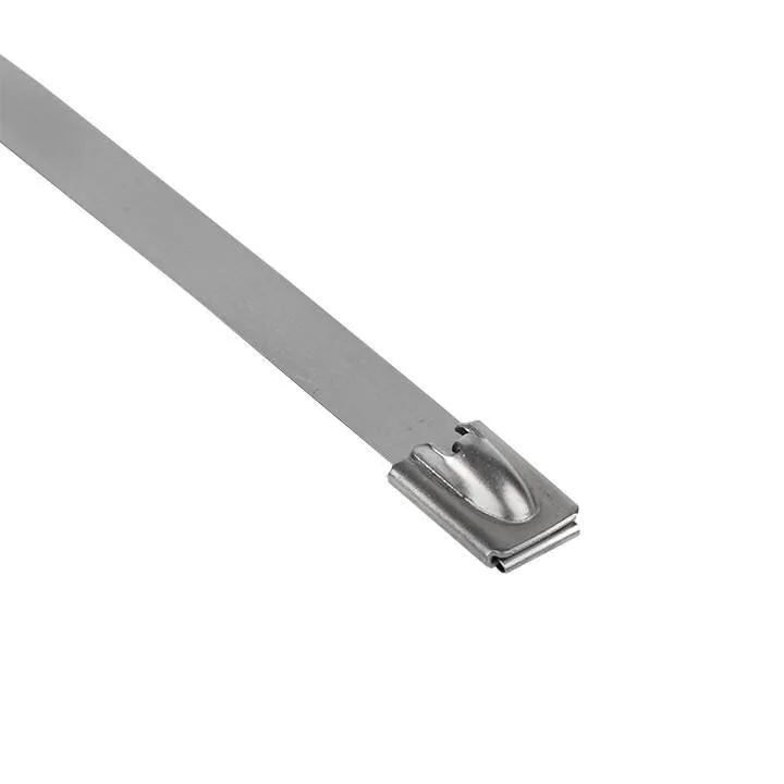 Хомут AISI 304 из нержавеющей стали, 7.9x360 (10 шт.) FlexLock PROxima Хомут AISI 304 из нержавеющей стали, 7.9x360 (10 шт.) FlexLock PROxima
