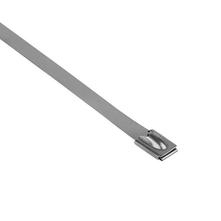 Хомут AISI 304 из нержавеющей стали, 7.9x520 (10 шт.) FlexLock PROxima Хомут AISI 304 из нержавеющей стали, 7.9x520 (10 шт.) FlexLock PROxima